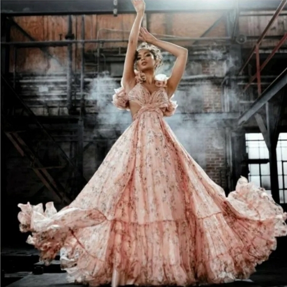 Mac Duggal Pink Peach Ruffle Tiered Floral Cut-Out Chiffon Gown sz 4 NEW - Picture 2 of 14